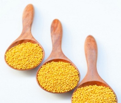 SJM urges Minister to ensure that no GM mustard seed is allowed to be planted SJM urges Minister to ensure that no GM mustard seed is allowed to be planted