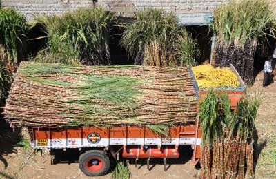 Working with govt to achieve ethanol blending target, says sugar mills body chief Working with govt to achieve ethanol blending target, says sugar mills body chief