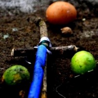 Suspected witchcraft: Head severed from body of ten-yr-old girl in TN
