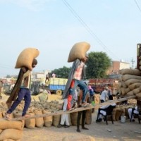 Adequate food stock available to meet Garib Kalyan Anna Yojana requirements: Govt