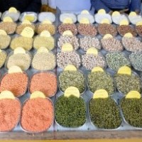 States being provided pulses at less than market rate for midday meals: Centre