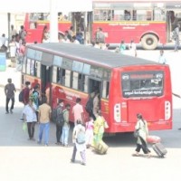 Free bus rides in TN turn bumpy: Many women reject freebie, insist on tickets