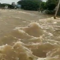 TN: One dies, 275 houses inundated as heavy rain lashes Erode