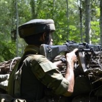 Terrorist killed in gunfight in J&K's Shopian