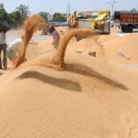 Adequate food grains stock, may intervene if prices abnormally high: Govt