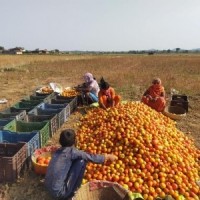 PM-Kisan scheme benefit discontinued for over 15.27L farmers in Jharkhand