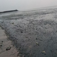 Sea back to normal in Kozhikode after receding, tsunami ruled out