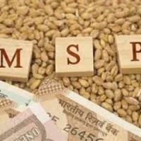 Centre hikes MSP for Rabi crops by upto Rs 500 per quintal