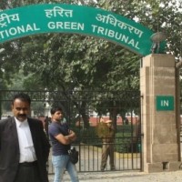 Telangana: Awards, NGT penalty expose big contradiction
