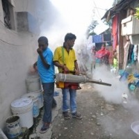 Dengue figures skyrocket by 20,000 in Bengal in just a month