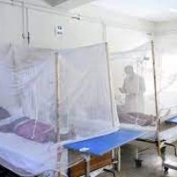 As dengue cases rise, no leave for UP doctors