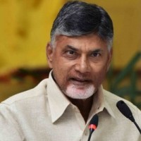 Chandrababu condemns police searches in Vizag hotel