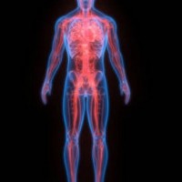 Hope emerges for treatment of ALS patients