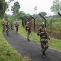 Bangladeshi cattle smuggler shot dead by BSF in Bengal's Nadia