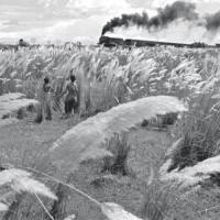 'Pather Panchali' tops all-time best Indian movies list of global film critics' body