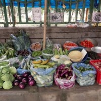 Amid festival season, vegetable prices soar in Delhi-NCR