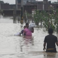 25 killed in rain-related incidents in UP