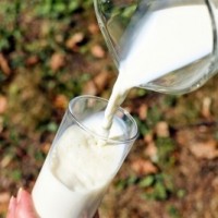 What Delhi-NCR says about its milk? Survey reveals