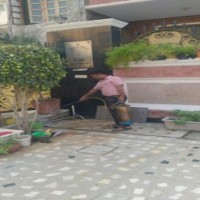 Two NCR districts fight dengue only on paper, ground reality starkly different