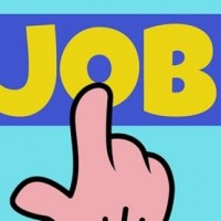 Retail jobs in India down 12% amid record festive sales: Report