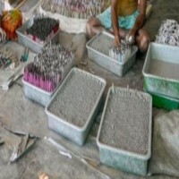 Riding tractor to cross reptile-infested rivulet, CGST team bust illegal firecracker factory in Faridabad