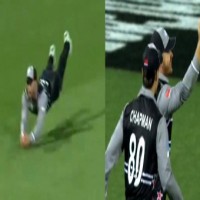 Glenn Phillips' superhuman effort to get rid of Australia's Stoinis goes viral