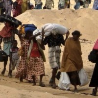 Six more refugees from Sri Lanka land in TN, sent to camp