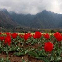 Cloudy weather likely in J&K