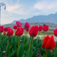 Mainly clear to partly cloudy sky likely in J&K: MeT