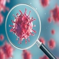 US researchers develop new Covid strain that has 80% kill rate: Report