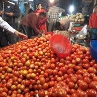Prices of shallots, tomatoes shoot up in TN in wake of heavy rains
