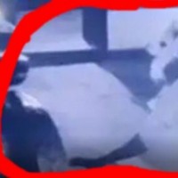 Thief decamps with Kerala temple jewellery after praying before deity