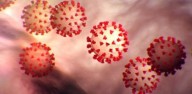 Age does not contribute to Covid-19 susceptibility: Study Age does not contribute to Covid-19 susceptibility: Study