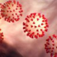 Age does not contribute to Covid-19 susceptibility: Study