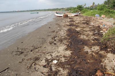 12 Goa beaches impacted by tarball invasion last month 12 Goa beaches impacted by tarball invasion last month