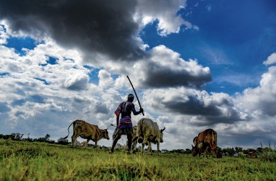 Agiculture, health at risk from declining diurnal temperature range Agiculture, health at risk from declining diurnal temperature range