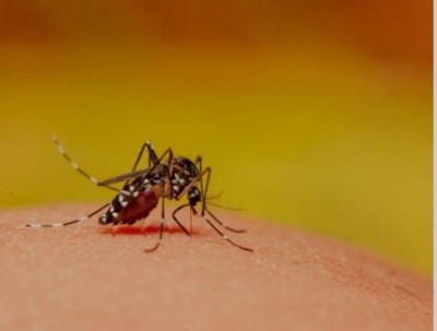Delhi records first death due to dengue in 2021 Delhi records first death due to dengue in 2021