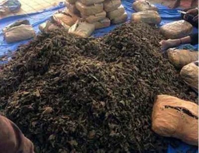 1.15 tonnes ganja hidden in poultry feed seized in Maha