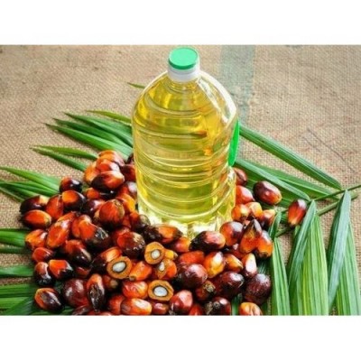 Mixed response to Centre's oil palm mission in NE, experts fear ecological effect Mixed response to Centre's oil palm mission in NE, experts fear ecological effect