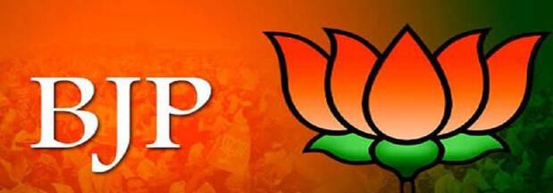 BJP's 6 Rajya Sabha hopefuls
