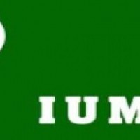 Don't pay any damages to UP government: IUML