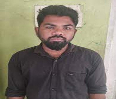 Youth arrested in TN for advertising sale of tigers Youth arrested in TN for advertising sale of tigers