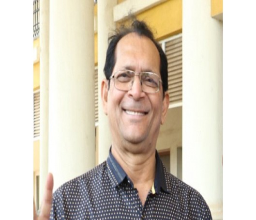 Legalise sand mining in Goa: Congress MP Legalise sand mining in Goa: Congress MP