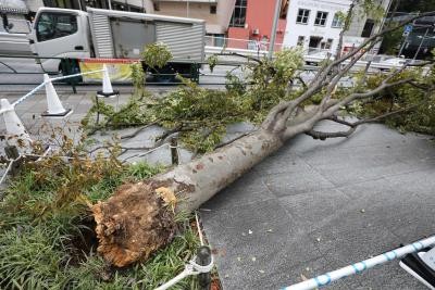Powerful typhoon lashes Japan's Okinawa islands through weekend, evacuation ordered