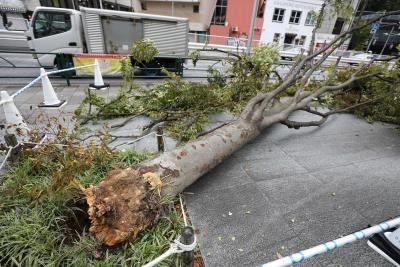 Powerful typhoon lashes Japan's Okinawa islands through weekend, evacuation ordered Powerful typhoon lashes Japan's Okinawa islands through weekend, evacuation ordered