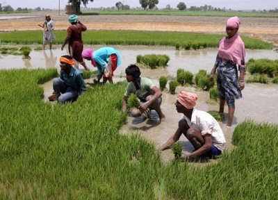 TN govt appoints special teams to monitor paddy procurement TN govt appoints special teams to monitor paddy procurement