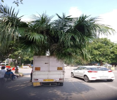 Tyagi community stages sit-in outside Noida society over tree uprooting row