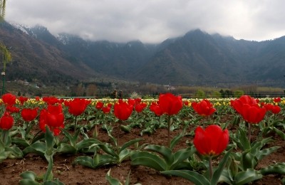 Cloudy sky, light rain at isolated places likely in J&K Cloudy sky, light rain at isolated places likely in J&K