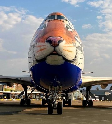 Special flight with 8 cheetahs to land in Gwalior, not Jaipur Special flight with 8 cheetahs to land in Gwalior, not Jaipur