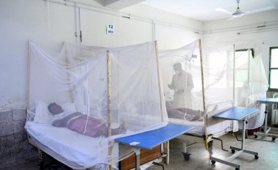 Surge in dengue fever continues in Pakistan Surge in dengue fever continues in Pakistan